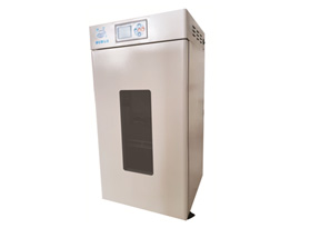 電熱恒溫培養箱